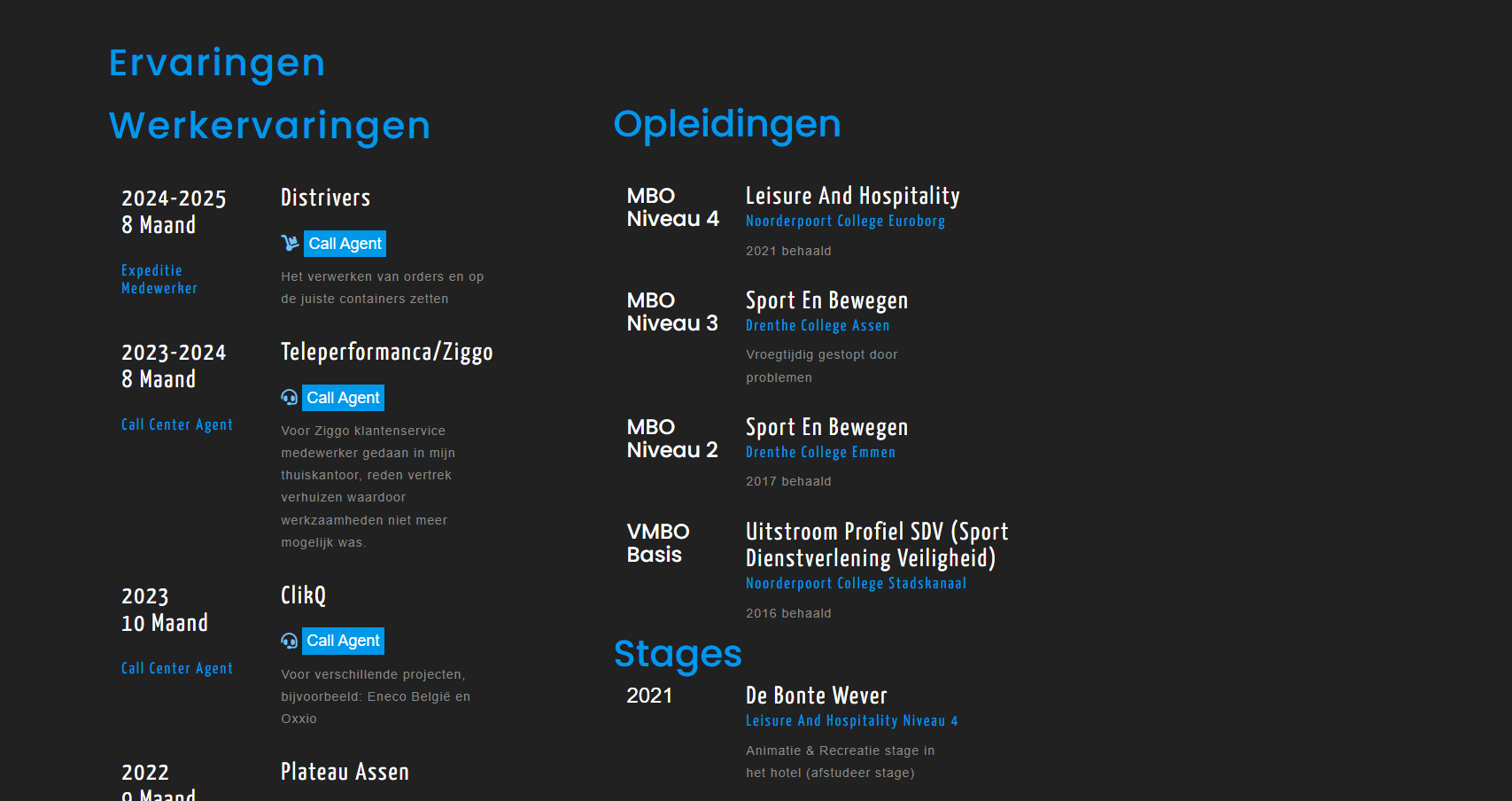 Persoonlijke CV-website